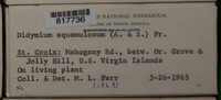 Image Associated With the Occurence